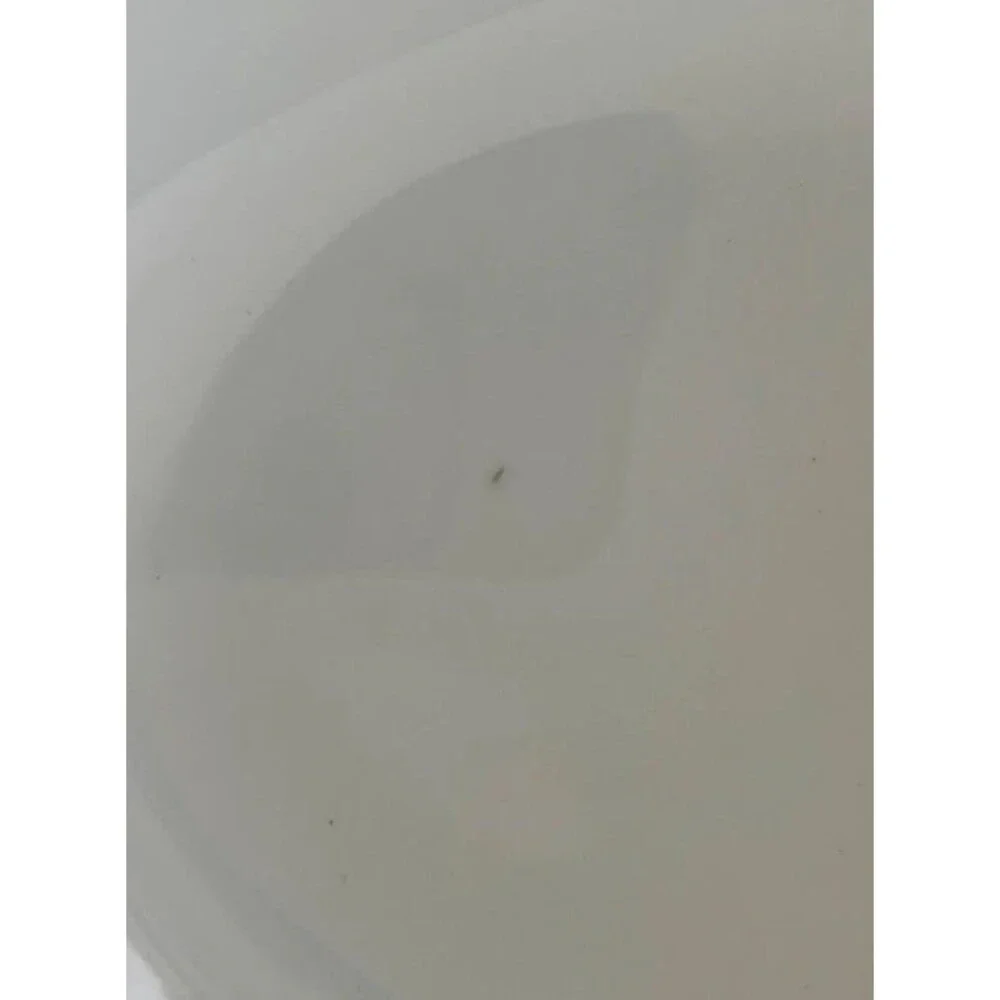 Noritake this item